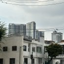 민들레헤어 - 김해시 삼안로112번길 79-13 | 신길동 보라매역 미용실 블룸9헤어에서 뿌리염색 후기(민들레디자이너)