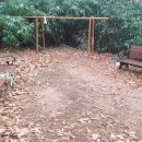 두암제1근린공원 이미지