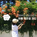 밸런스포인트헤어(BALANCE POINT) | 오늘의 코디ㅣ베이지 볼캡 추천 캐주얼 데일리룩