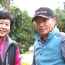 용인가축약품 이미지