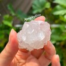 청명 141 이미지