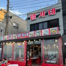 속초 포장마차