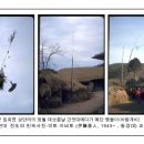 안태초등학교 이미지