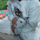 의령농장 | 아이와 가볼만한곳 의령 청아생태농장 주말가족체험 동물생태체험,물고기 개울체험,토끼,장수풍뎅이애벌레,