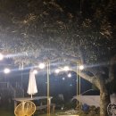 늘봄가든민박 | 제주도에서 에어비엔비 이용후기 #마나의가든