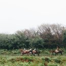 동부목장 이미지