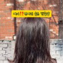 미장원by봄 이미지