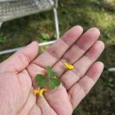 가을아 안녕~~🍁🍂 이미지