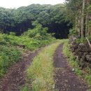 남원읍-31 이미지