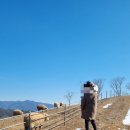 하늘소리목장 | 울산 아이와 함께 가기 좋은 &#39;울산 하늘목장&#39; 방문후기