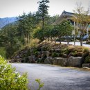 우리금돈 이미지