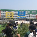 창원상남초등학교 이미지