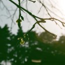 경포호수 4 이미지