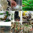 만능효소 이미지