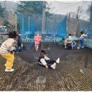 덕은한강초등학교 이미지