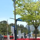 국립부산과학관 | 부산 아기랑 갈만한 곳 추천｜13개월 아기와 국립부산과학관 다녀온 후기 (영아존, 수유실)