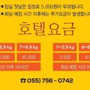 아웃독