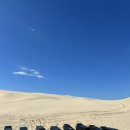 🏝️포트스테판 투어 (🏂모래썰매+🏎️쿼드바이크) 최저가에 쌈빡하게👍(업체비교, 후기, 옷차림, 사진꿀팁)