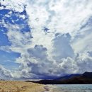 카페라인 이미지