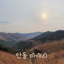 선어대생태공원 | [안동 마애리] 역사가 살아 숨쉬는 마애, 사람이 살던 뿌리를 간직한 마을 ~ 마애선사유적전시관 !!