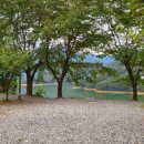 중원농협 금가지점 이미지