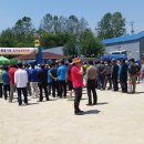 조선대학교부속고등학교 이미지