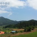 부동산CITY 공인중개사사무소 이미지