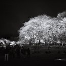 동물원(중앙잔디밭)