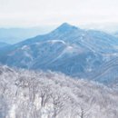 백운산 이미지
