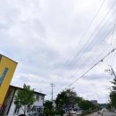 단아미소치과의원 이미지