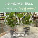 용성농장 | 광주 가볼만한 곳, 광주여행 코스 다양한 식물과 체험활동을 할 수 있는 치유의정원 힐링가든센터휴