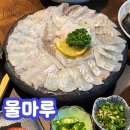 (주)물마루 | 마산 합성동 횟집 물회맛집 물마루