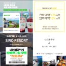 대교제일할인마트 | 여수 풀빌라 독채 오션뷰 끝판왕 시로리조트&amp;풀빌라 후기 (여수 화정면 프라이빗 숙소)