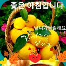 허튼소리 이미지