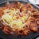 영광미가횟집 | 상계역맛집 / 쭈꾸미아저씨