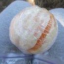 은판나비화장실 이미지