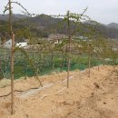 수양2 농장 이미지