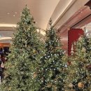 걸스짐 | [2025.12.] 1인 가구 직장인 일상 - 연말 회식, 걸스나잇, 집밥, 외식