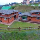 강천산 나비잠 이미지