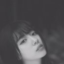 신세휘 카카오 검색결과