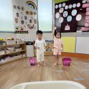 7월 21일 화요일 🛁욕조에 볼풀 공을 던져요🛁 이미지