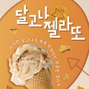 빨라쪼젤라또