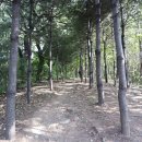 학여울길 이미지