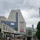 미키팜약국 | 일본 도쿄여행 5박6일 2일차 / 아키바,시부야, 신주쿠 (+맛집추천,아오야마 코스 COS)