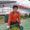 빈이네농장 이미지