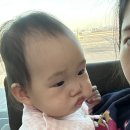 10개월 아기와 겨울 제주여행기(수야담 스테이/미영이네 고등어회/ 할망네돔베고기/미미네떡볶이/김희선...