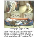 구운초등학교 이미지