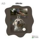 아이페티앙 | < BEST 도서 > [소설] 애견인이라면 반드시 읽어야 할 베스트셀러 애견 소설 개의 목적 서평