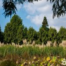 청산정원 이미지