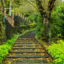모충사慕忠祠 | 제주 오름 이야기 - 사라봉, 제주다움을 경험하며 산책하기